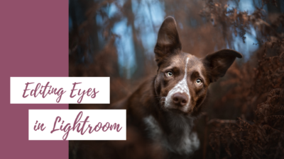 How To: Edit & Brighten Eyes in Lightroom