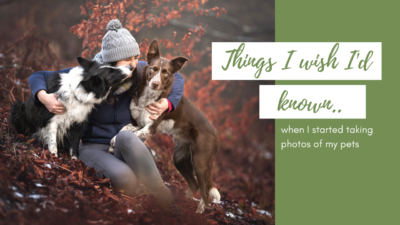 Things I wish I’d know before I started Pet Photography