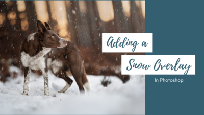 How to: Add a Snow Overlay in Photoshop