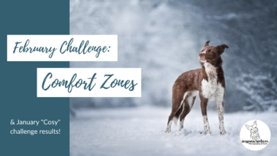 February “Comfort Zone” Challenge & January Results!