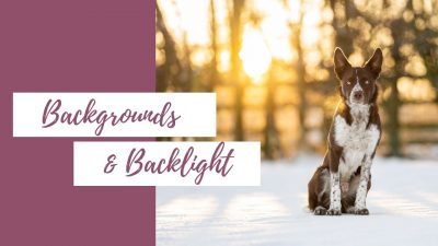 Backgrounds & Backlight
