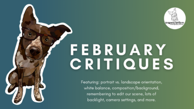 February Critiques