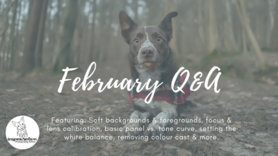 February Q&A