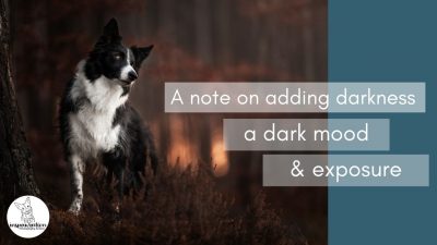 A Note on Adding Darkness, a Dark Mood, and the Image’s Exposure