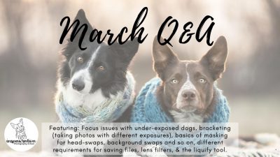 March Q&A