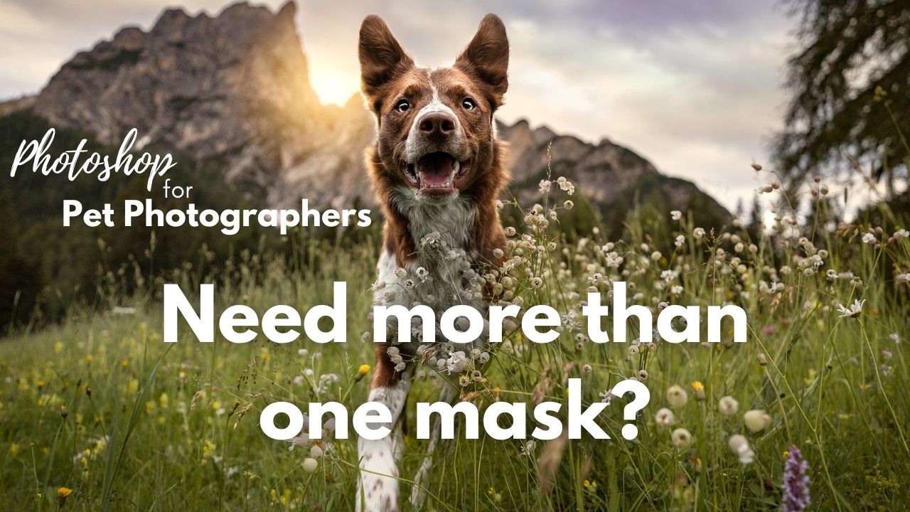 Need More than One Mask?