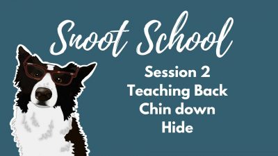 Snoot School: Back-up, chin down, hide