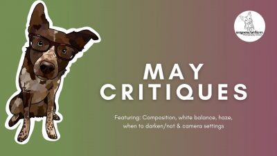 May Critiques