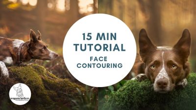 15 Minute Tutorial: Face Contouring