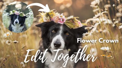 Edit Together: Flower Crown