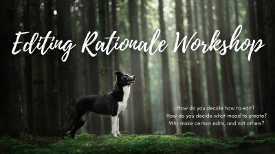 Workshop: Editing Rationale