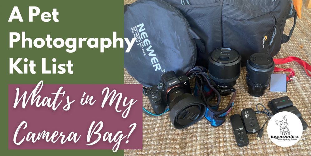 A Pet Photography Kit List - What’s in My Bag? - Inspawration Photography