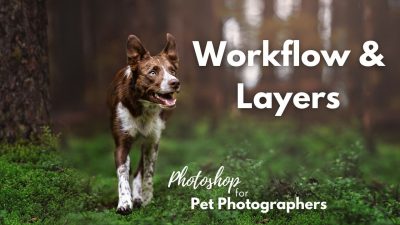 Workflow: How to Structure your Layers