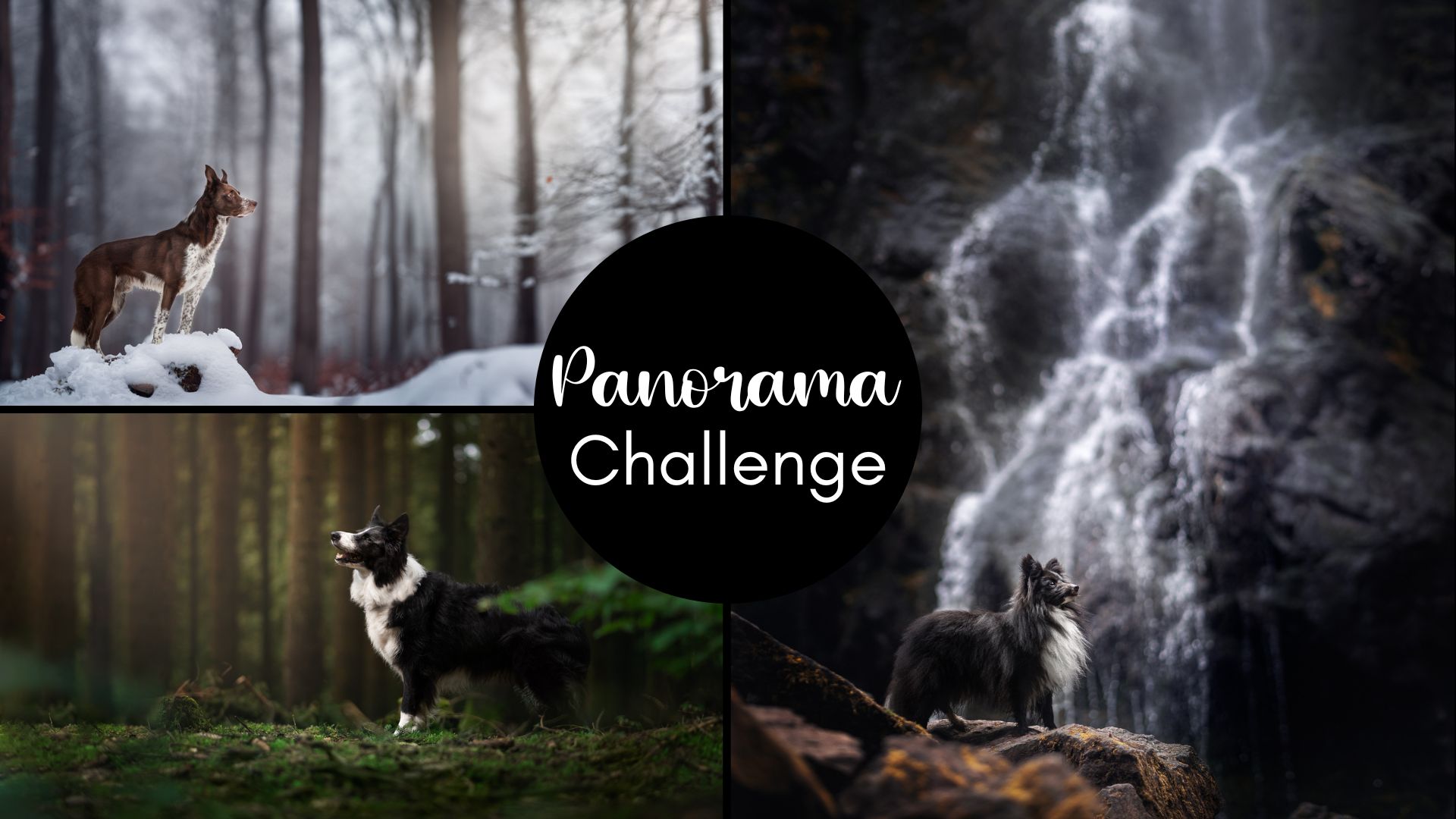 Panorama Challenge