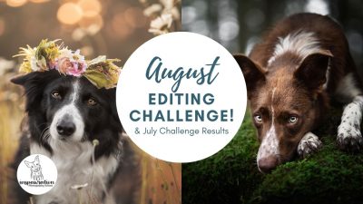 August Editing Challenge & July Results!