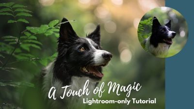 A Touch of Magic: Lightroom-Only Tutorial