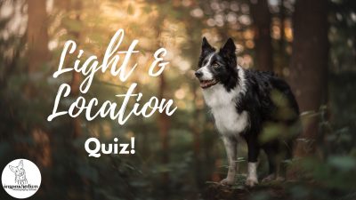 Light & Location: Quiz!