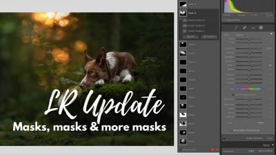 LR Update: Masks, Masks & More Masks!