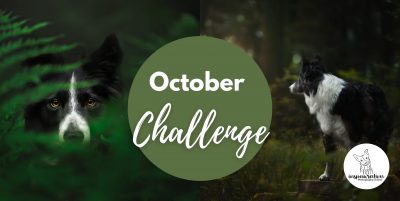 The October Challenge – Capturing Detail & Opening Out