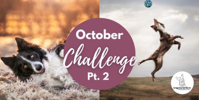 The October Challenge Pt. 2 – Candid Moments & Special Props