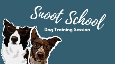 Snoot School: Train a “Look”
