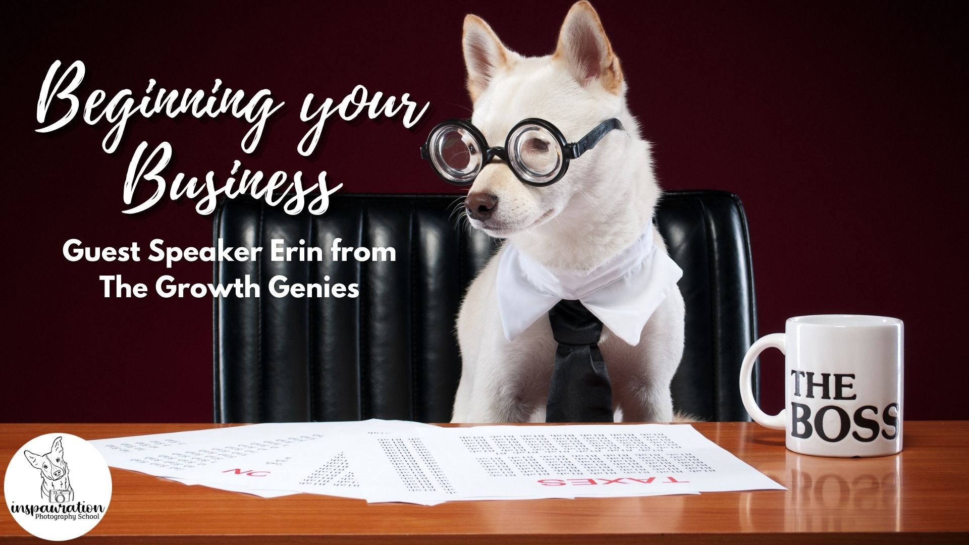 Beginning your Business: Guest Speaker Erin from Pet Biz Creatives