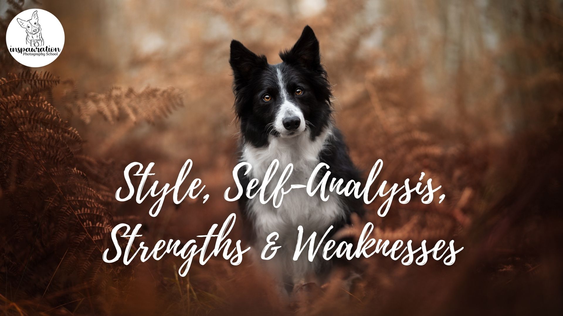Workshop: Style, Self Analysis and Goal Setting