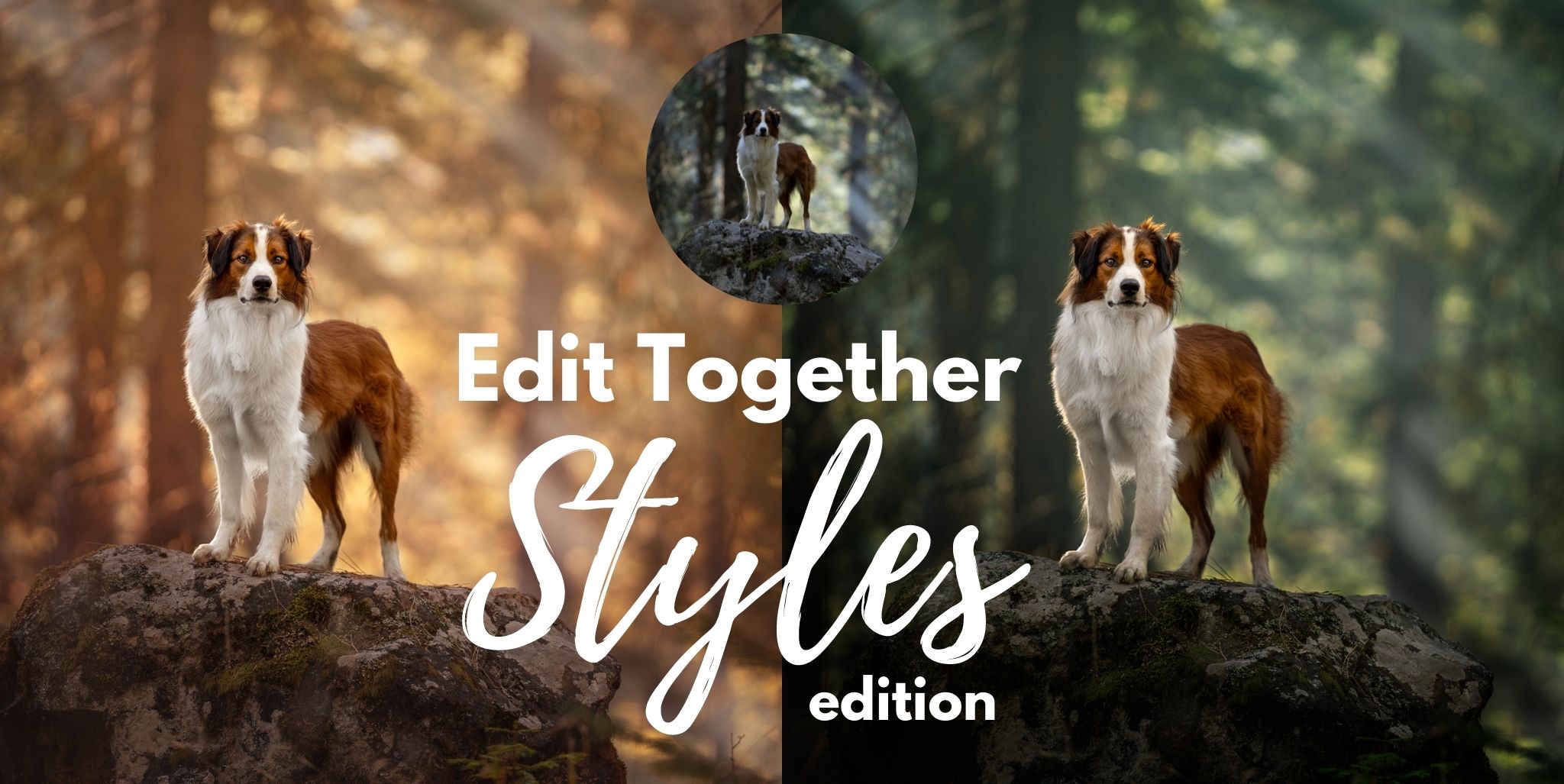 Edit Together: Styles Edition
