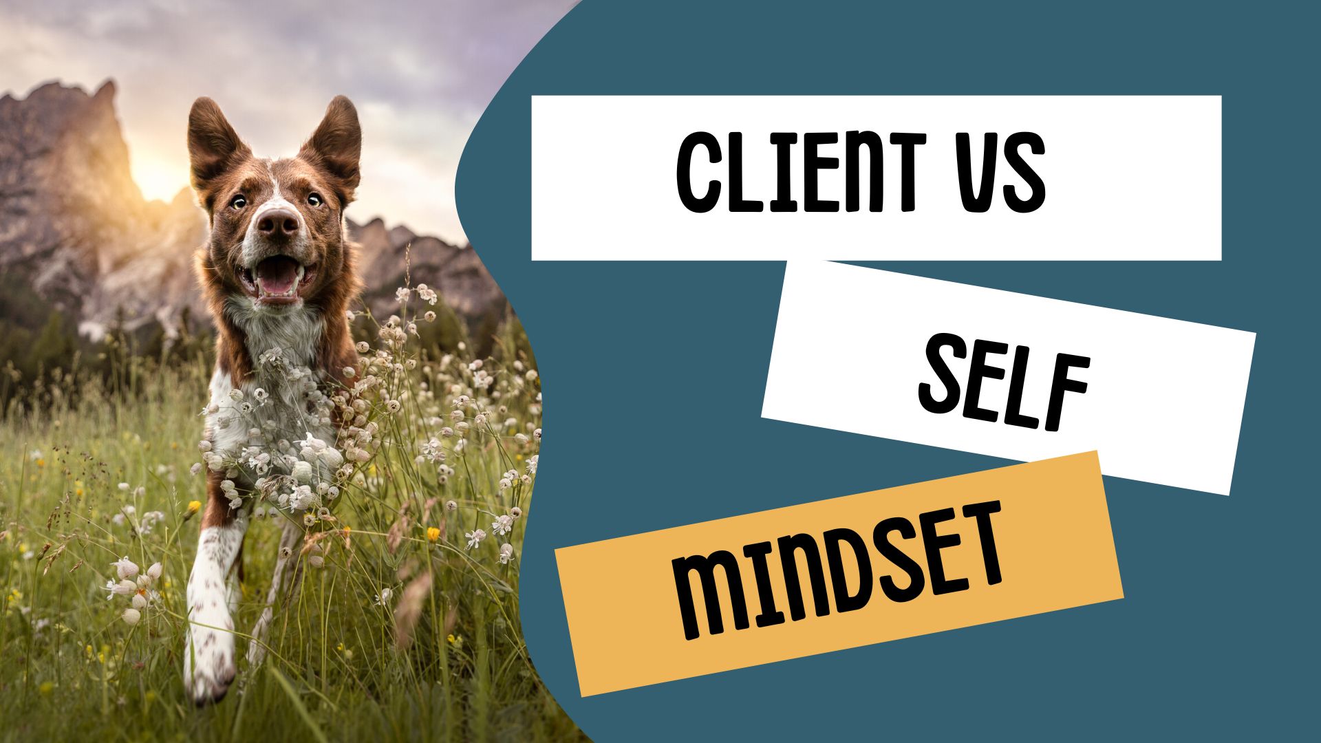 Approaching your session: client vs. self mindsets