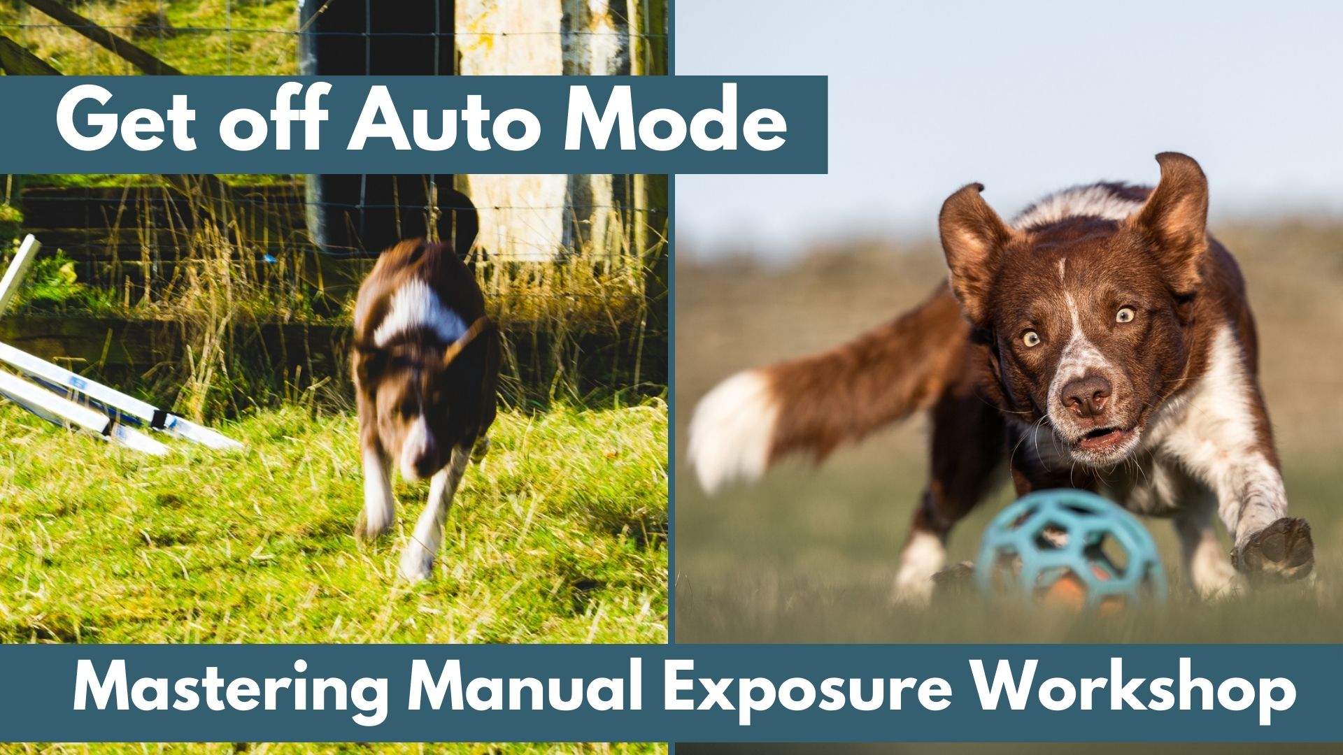 Get off Auto Mode: Mastering Manual Exposure