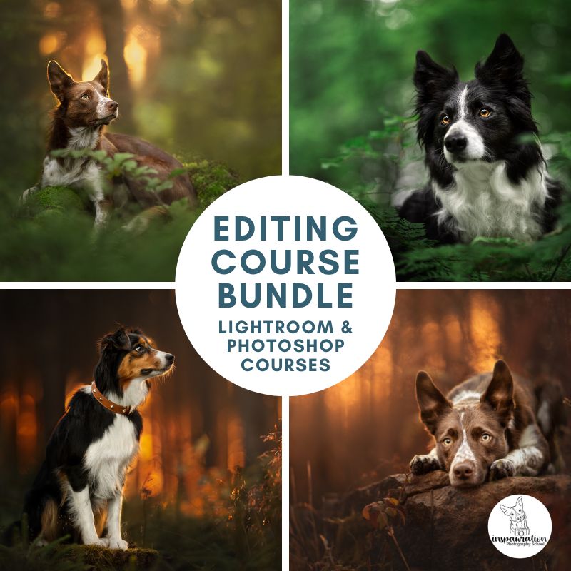 Editing Course Bundle: Master Lightroom  Photoshop - Inspawration  Photography