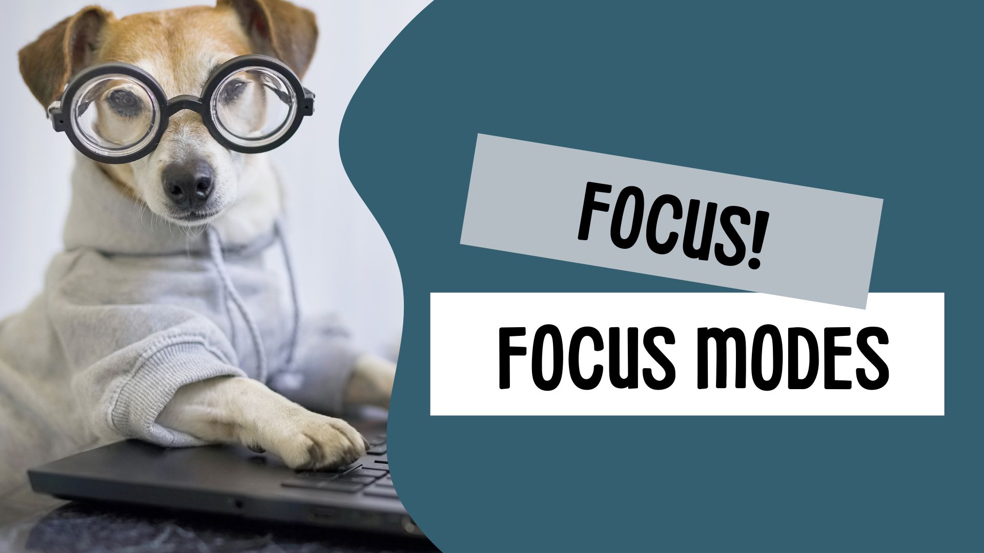 Focus Modes