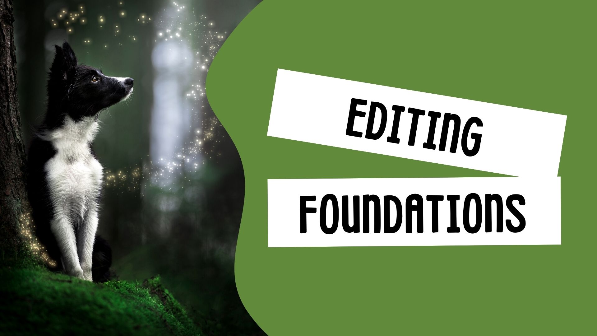 Editing Foundations