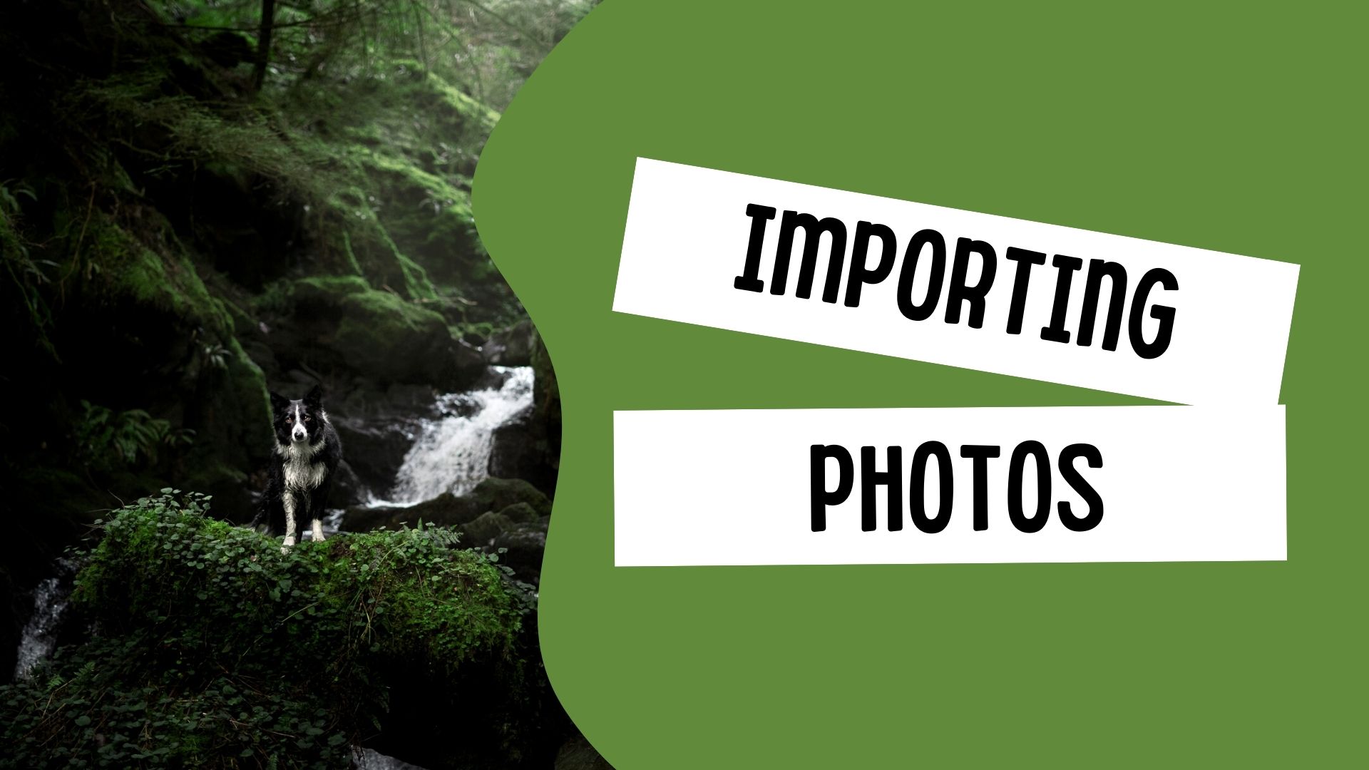 Importing Photos into Lightroom