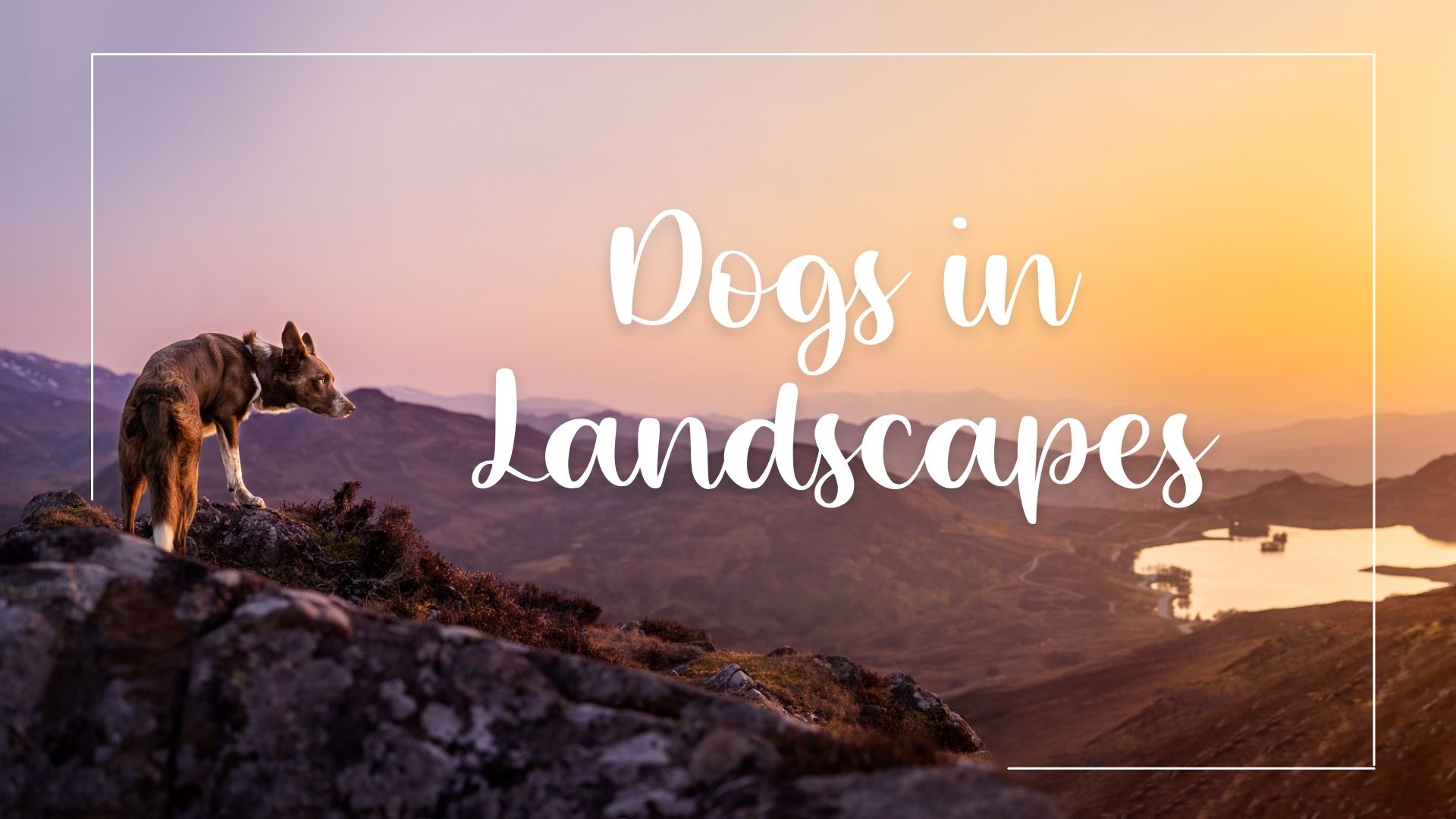 How To: Dogs in Landscapes