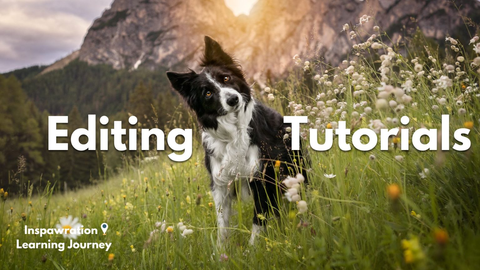 Editing: Tutorials - Inspawration Photography
