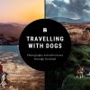 A banner with four landscape photos featuring dogs, with text reading Travelling with dogs, photography and adventures through Scotland