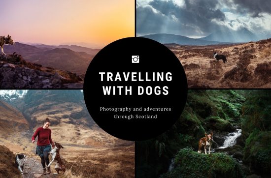 A banner with four landscape photos featuring dogs, with text reading Travelling with dogs, photography and adventures through Scotland