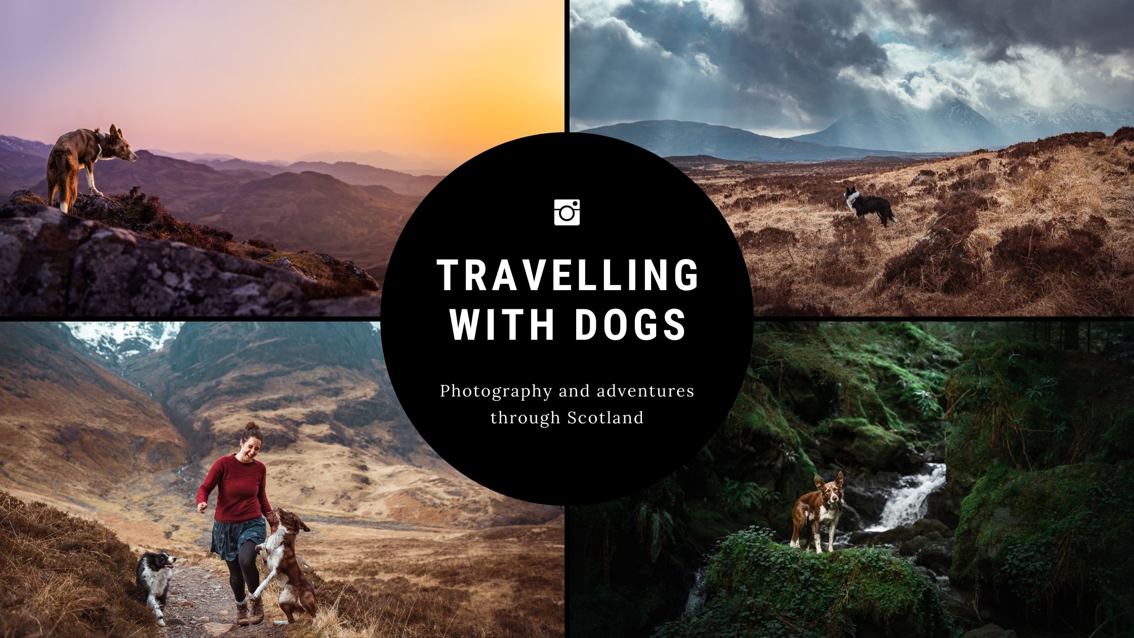 Travelling With Dogs: Scotland