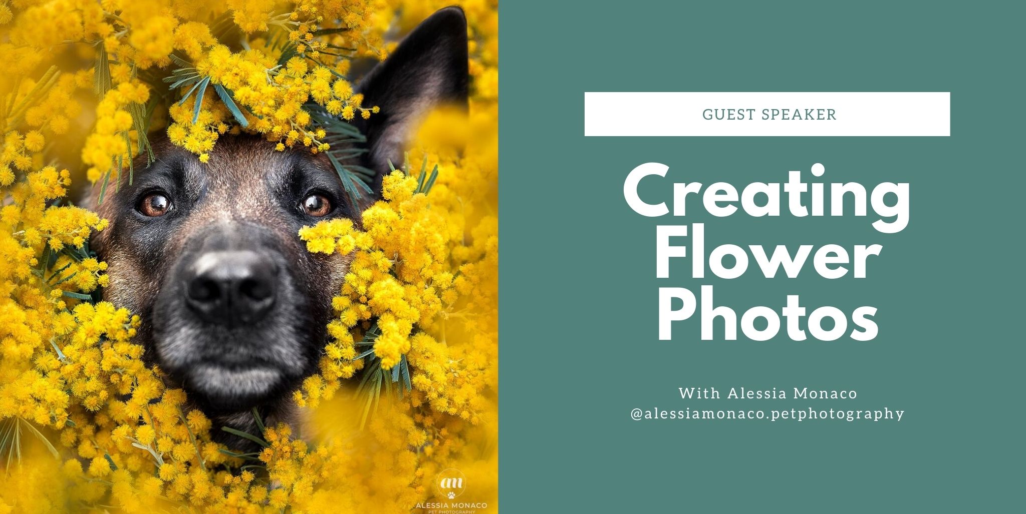 Creating a Flower Photo with Alessia Monaco