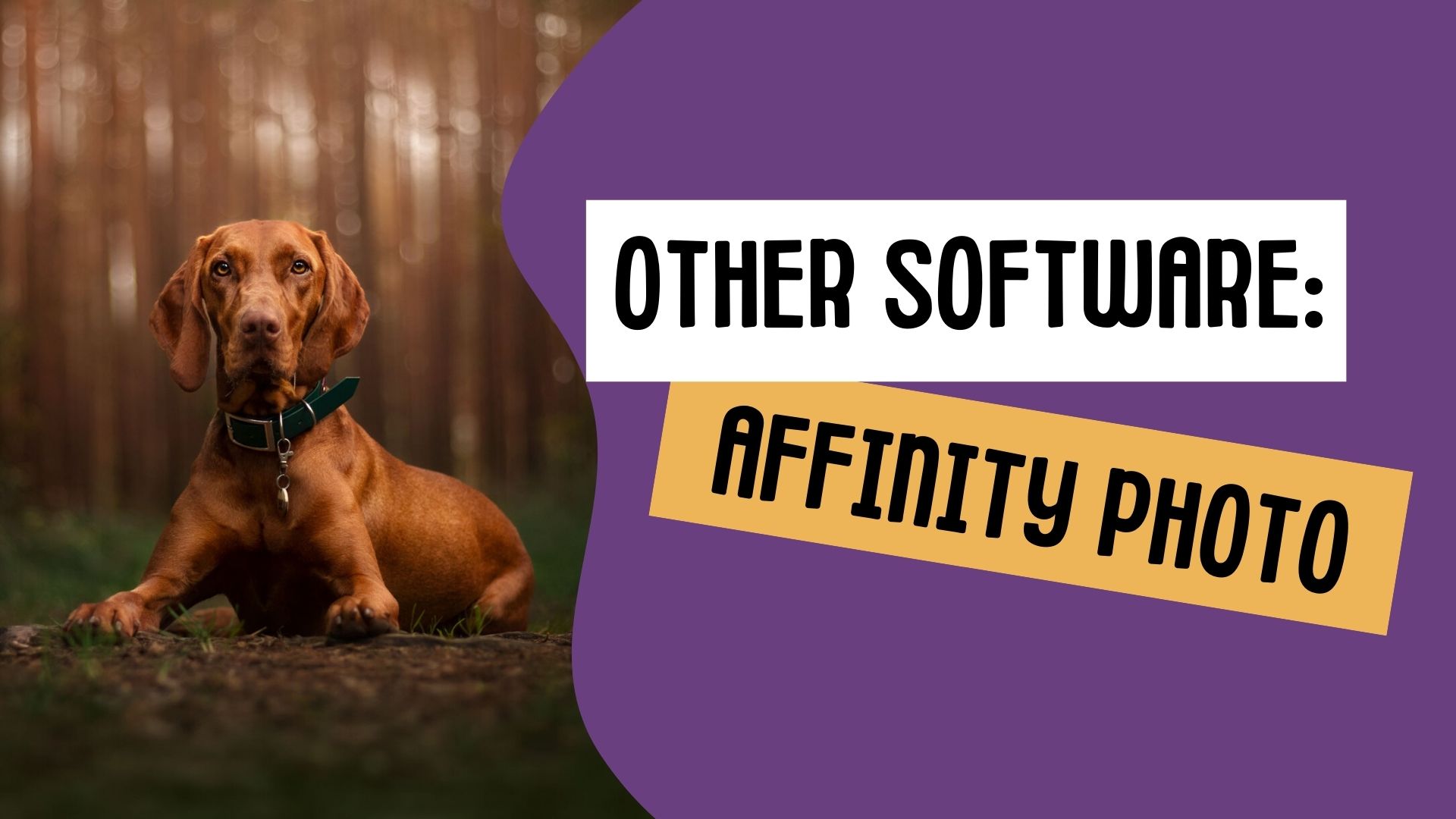Other Editing Software: Affinity Photo