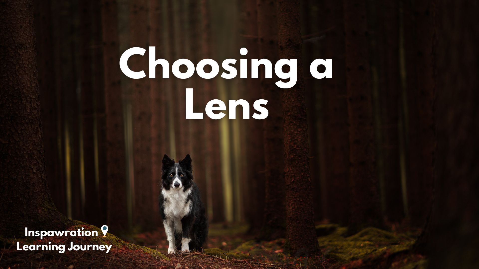 Choosing a Lens