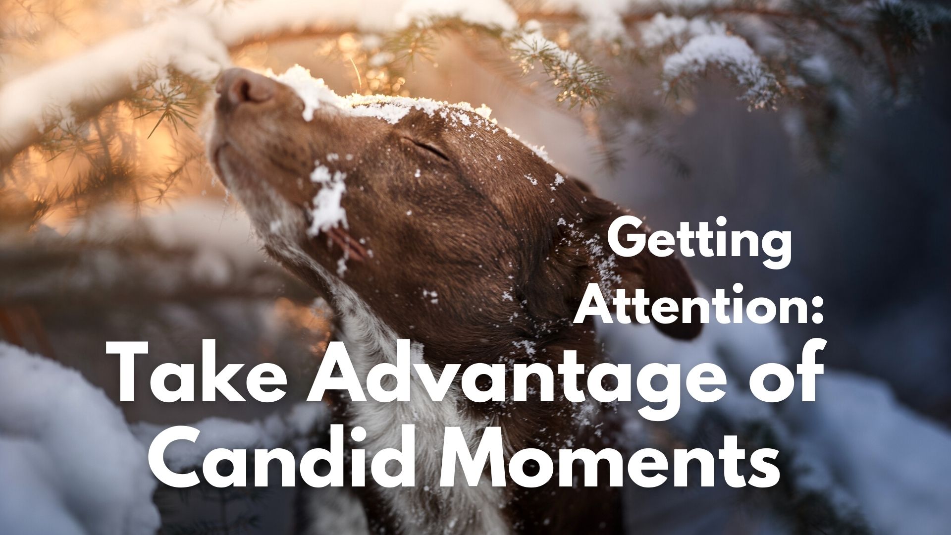 Take Advantage of Candid Moments