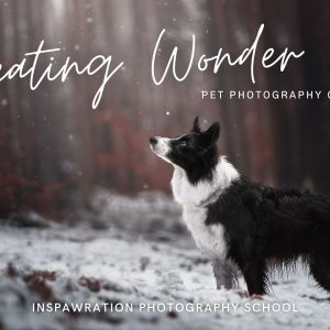 Creating Wonder Guidebook