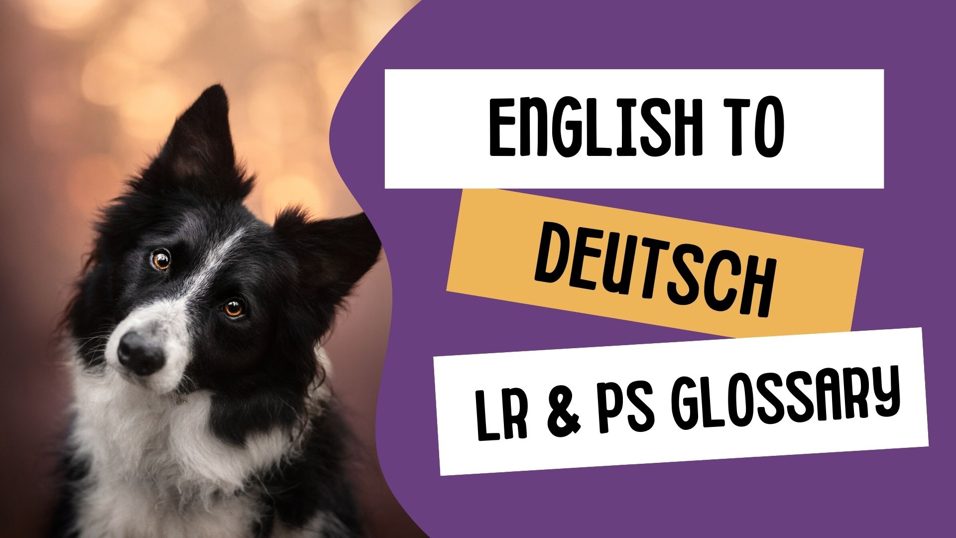 English to German Photoshop Glossary