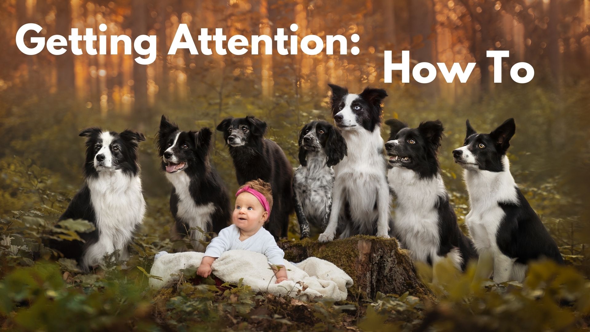 Getting Attention: How To