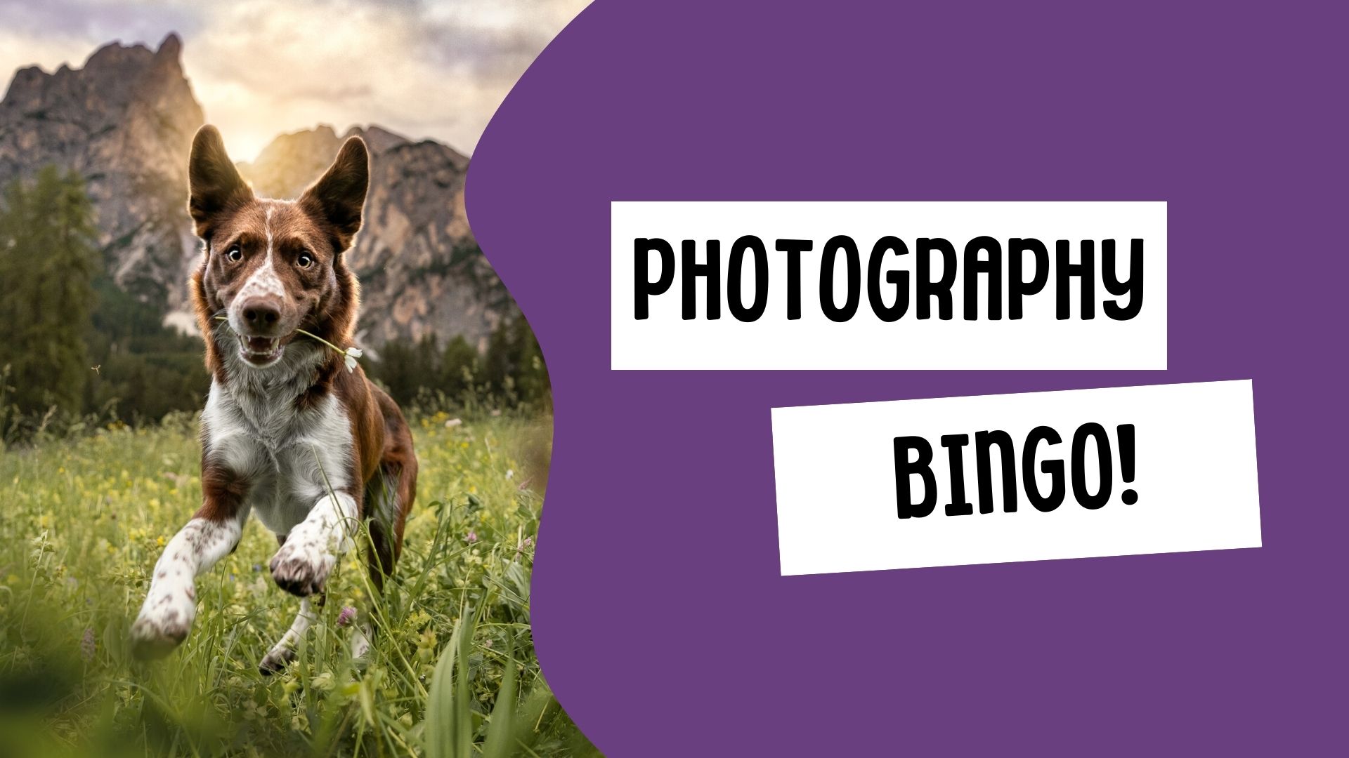 Photography Bingo!