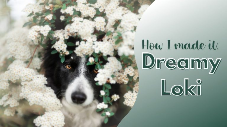 How I made it: Dreamy Loki