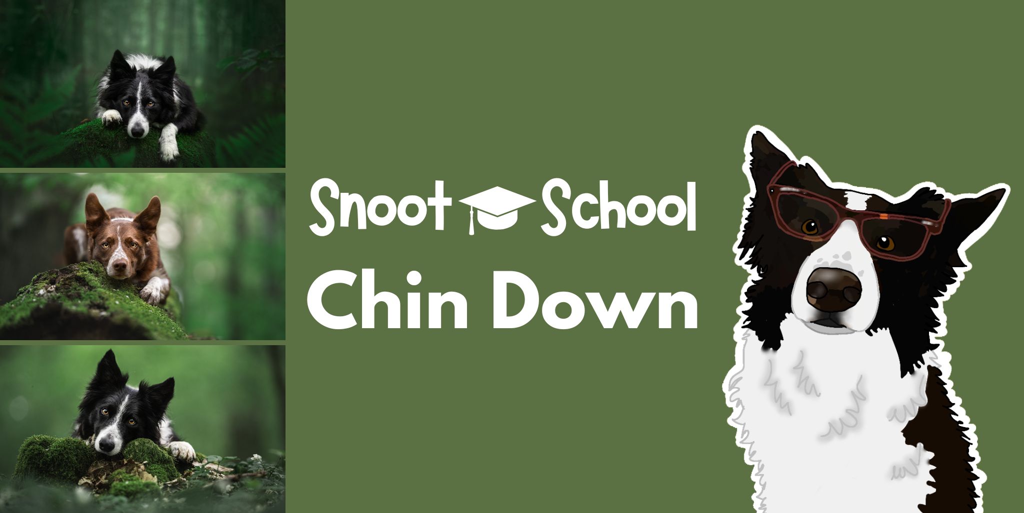 Snoot School: Train “Chin Down”