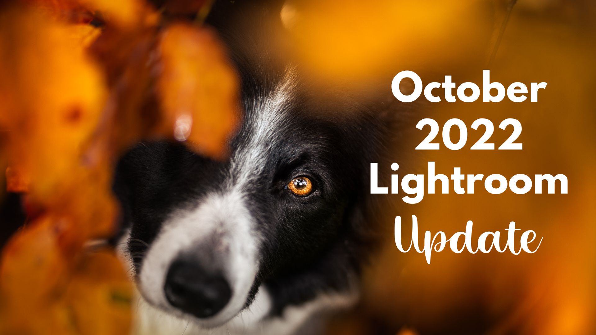October 2022 Lightroom Update